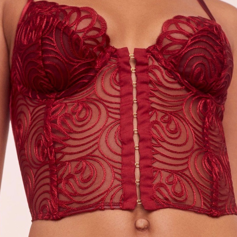 For Love and Lemons After Dark Bustier Top